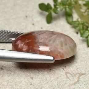 Corail Multicolore naturelle ovale, 8.65 ct, Opaque