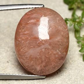 Corail multicolore naturelle coupe ovale, 16,05 ct, translucide