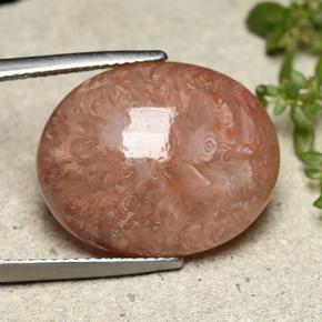 Corail multicolore naturelle coupe ovale, 16,05 ct, translucide