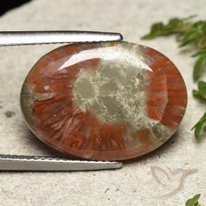 Corail Multicolore naturelle ovale, 8.01 ct, Translucide