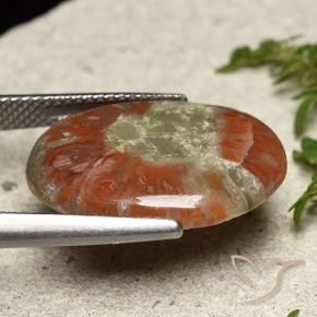 Corail Multicolore naturelle ovale, 8.01 ct, Translucide
