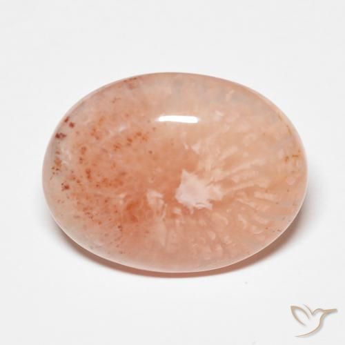 Corail multicolore naturelle coupe ovale, 9,34 ct, translucide