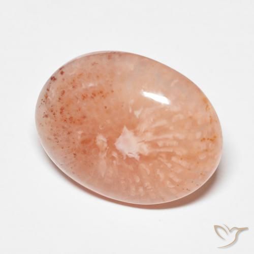 Corail multicolore naturelle coupe ovale, 9,34 ct, translucide
