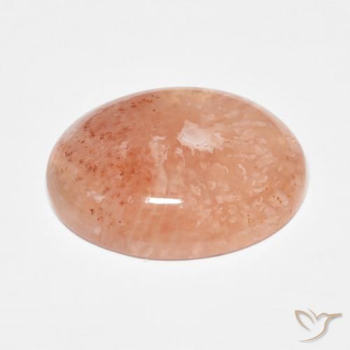 Corail multicolore naturelle coupe ovale, 9,34 ct, translucide