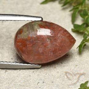 Corail Multicolore naturelle En forme de poire, 4.69 ct, Translucide