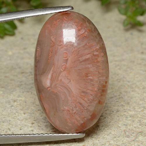 14.86ct Naturel Multicolore Corail, ovale, Translucide
