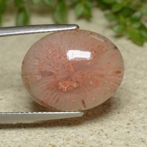 Corail Multicolore naturelle Coupe ovale, 10.65 ct, Translucide