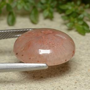 Corail Multicolore naturelle Coupe ovale, 10.65 ct, Translucide