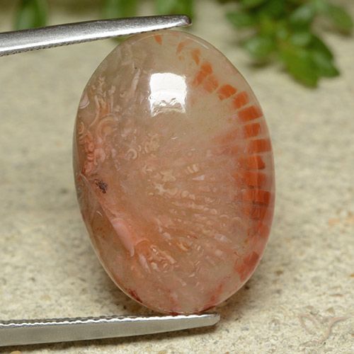 11.62ct Naturel Multicolore Corail, ovale, Translucide