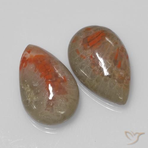 Shop natural 9.70ct Multicolore Corail gems, En forme de poire, from Indonésie at GemSelect. In stock, global shipping!