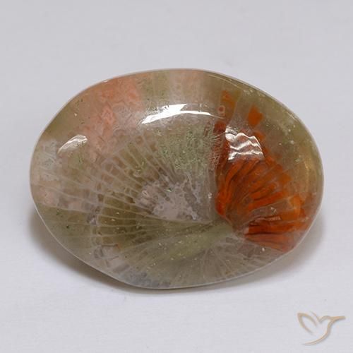 16.14ct Naturel Multicolore Corail, ovale, Translucide