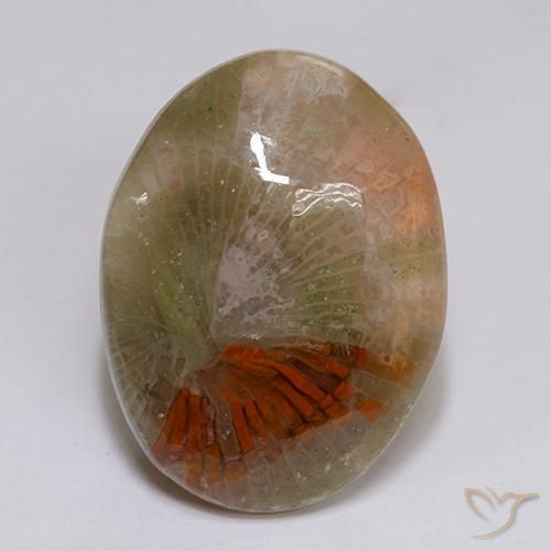 Corail Multicolore naturelle ovale, 16.14 ct, Translucide