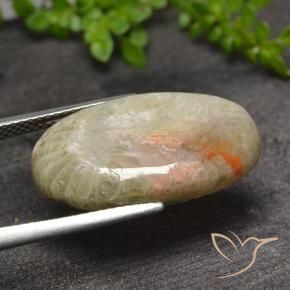 Corail Multicolore naturelle ovale, 11.82 ct, Translucide