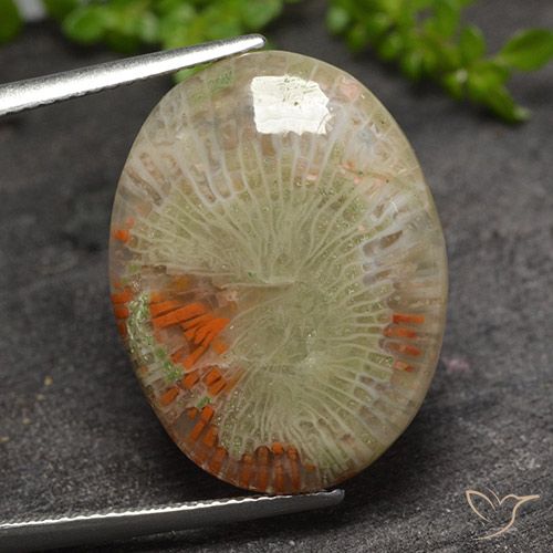 15.10ct Naturel Multicolore Corail, ovale, Translucide