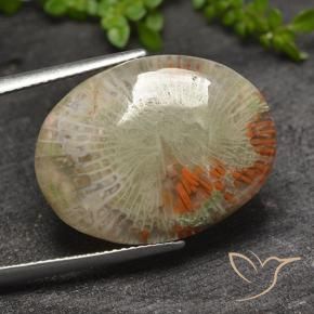 Corail Multicolore naturelle ovale, 15.10 ct, Translucide