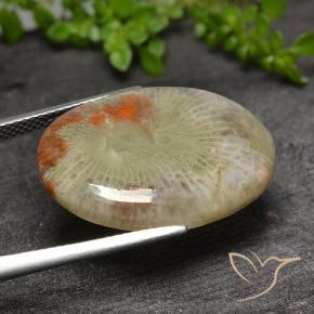 Corail Multicolore naturelle ovale, 15.10 ct, Translucide