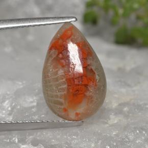 Corail multicolore naturelle en forme de poire, 4,02 ct, translucide