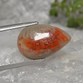 Corail multicolore naturelle en forme de poire, 4,02 ct, translucide