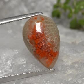 Corail multicolore naturelle en forme de poire, 4,02 ct, translucide