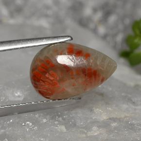 Corail multicolore naturelle en forme de poire, 2,84 ct, opaque