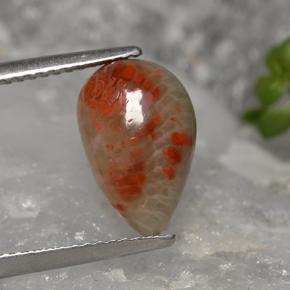 Corail multicolore naturelle en forme de poire, 2,84 ct, opaque