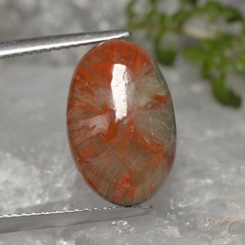 5.96ct Naturel Multicolore Corail, ovale, Opaque