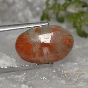 Corail Multicolore naturelle ovale, 5.96 ct, Opaque