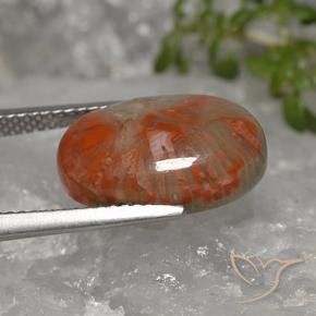 Corail Multicolore naturelle ovale, 5.96 ct, Opaque