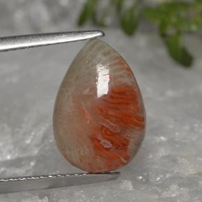 Corail multicolore naturelle en forme de poire, 3,19 ct, translucide
