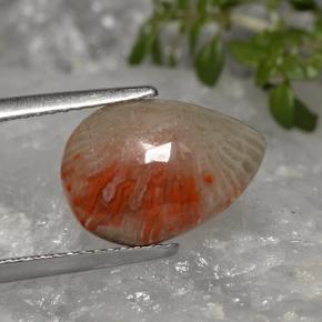 Corail multicolore naturelle en forme de poire, 3,19 ct, translucide