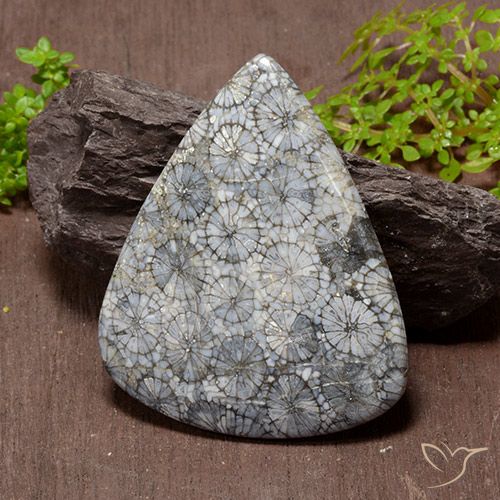 Corail multicolore naturelle en forme de poire, 72,53 ct, opaque