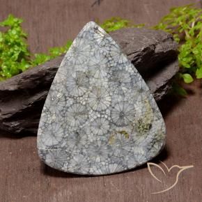 Corail multicolore naturelle en forme de poire, 72,53 ct, opaque
