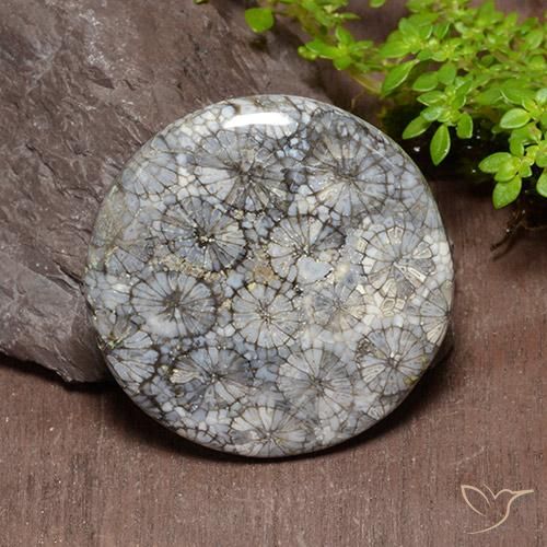 54.18ct Naturel Multicolore corail, Tour, Opaque