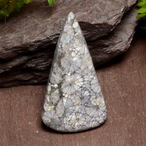 Corail multicolore naturelle trillion, 29,10 ct, opaque