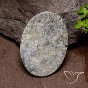 Corail Multicolore naturelle ovale, 43.74 ct, Opaque