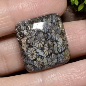 Corail Multicolore naturelle Coupe coussin, 23.19 ct, Opaque