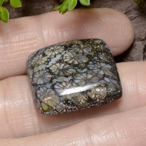 Corail Multicolore naturelle Coupe coussin, 23.19 ct, Opaque