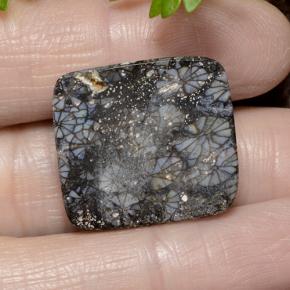 Corail Multicolore naturelle Coupe coussin, 23.19 ct, Opaque