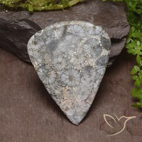 Corail Multicolore naturelle En forme de poire, 47.39 ct, Opaque