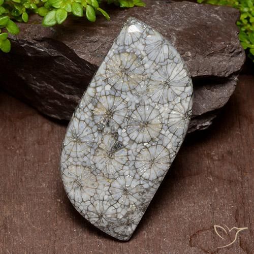 40.47ct Naturel Multicolore Corail, Fantaisie, Opaque