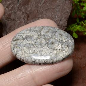 Corail Multicolore naturelle Coupe ovale, 34.23 ct, Opaque