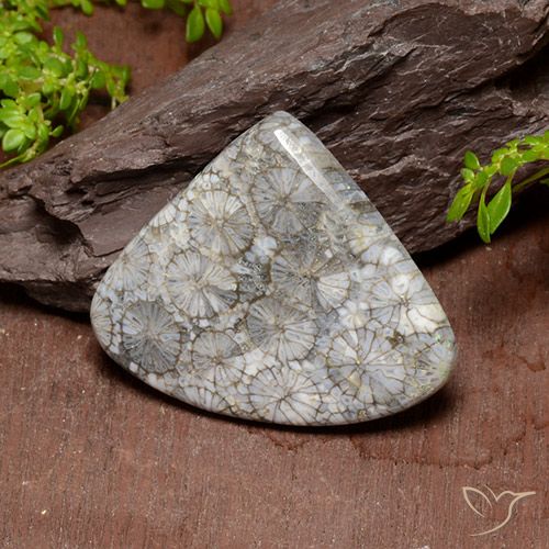 39.63ct Naturel Multicolore Corail, En forme de poire, Opaque