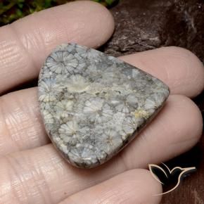 Corail Multicolore naturelle En forme de poire, 39.63 ct, Opaque