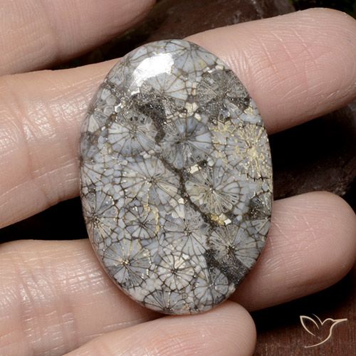 49.51ct Naturel Multicolore Corail, ovale, Opaque