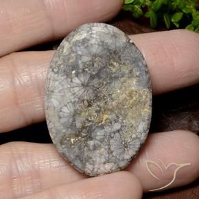 Corail Multicolore naturelle ovale, 49.51 ct, Opaque