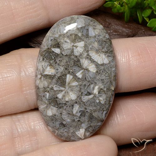 42.02ct Naturel Multicolore Corail, ovale, Opaque