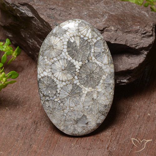 38.17ct Naturel Multicolore Corail, ovale, Opaque