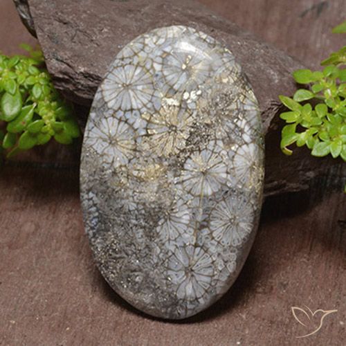 46.22ct Naturel Multicolore Corail, ovale, Opaque