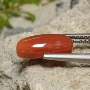 Corail Rouge-orange naturelle ovale, 2.09 ct, Opaque