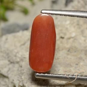 Corail Rouge-orange naturelle ovale, 2.09 ct, Opaque